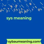 sys meaning