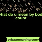 what do u mean by body count