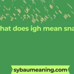 what does igh mean snap