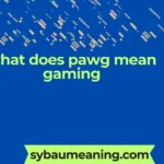 what does pawg mean gaming