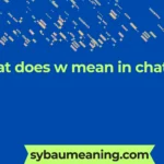 what does w mean in chat