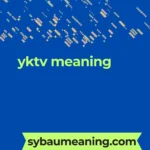 yktv meaning