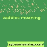zaddies meaning